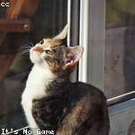 Glennie Herzog Profile Picture
