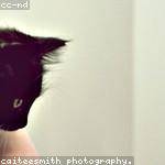 Sadye Ondricka Profile Picture