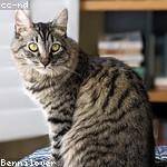 Hulda Powlowski Profile Picture