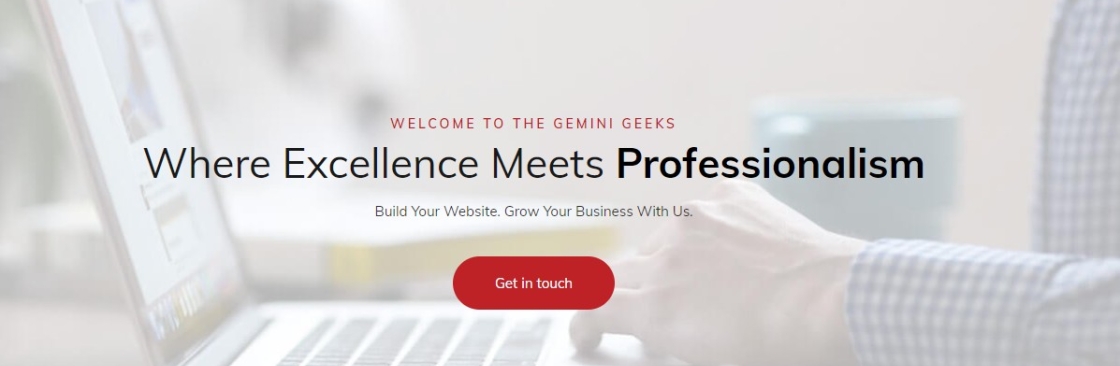 TheGemini Geeks Cover Image