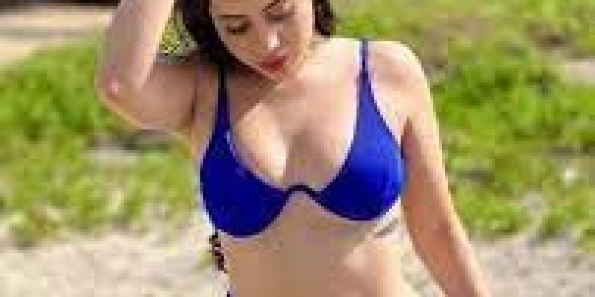 Udaipur Escort Service