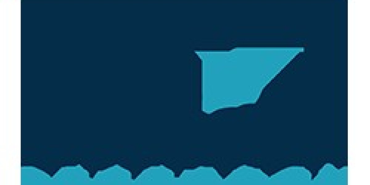 Electric Vehicle Charging Infrastructure Market: A Comprehensive Overview of the Industry's Players and Trends