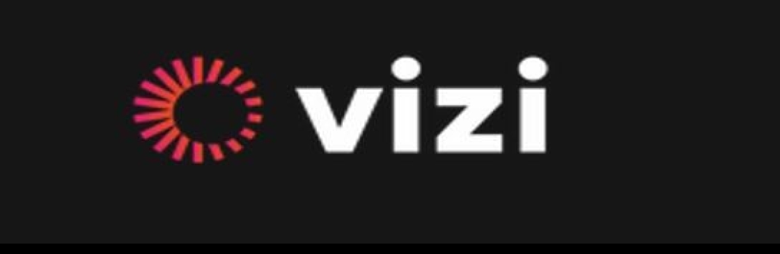 Vizi Energy Cover Image