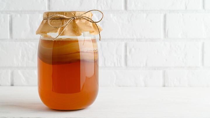 The Healing Elixir: Exploring the Health Benefits of Kombucha - Blog View - Xiglute | Xiglut - Rede Social | Social Network