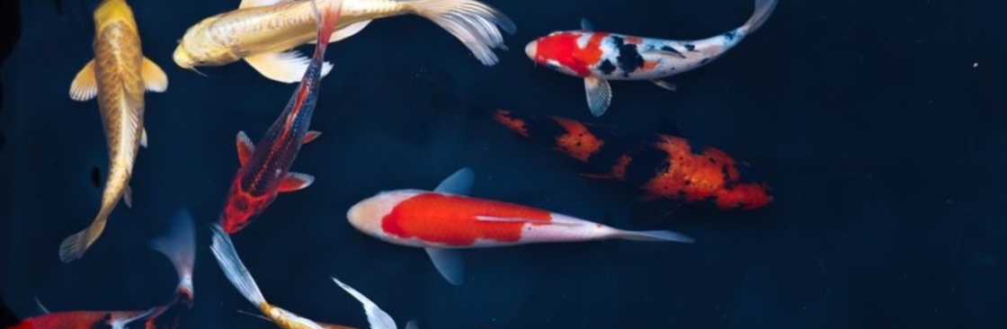 The Fish Works Cover Image