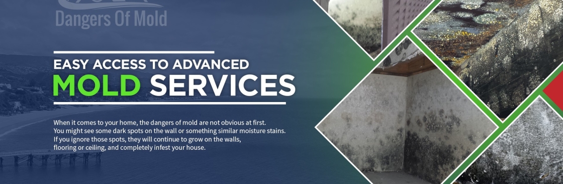 Dangers Of Mold Cover Image