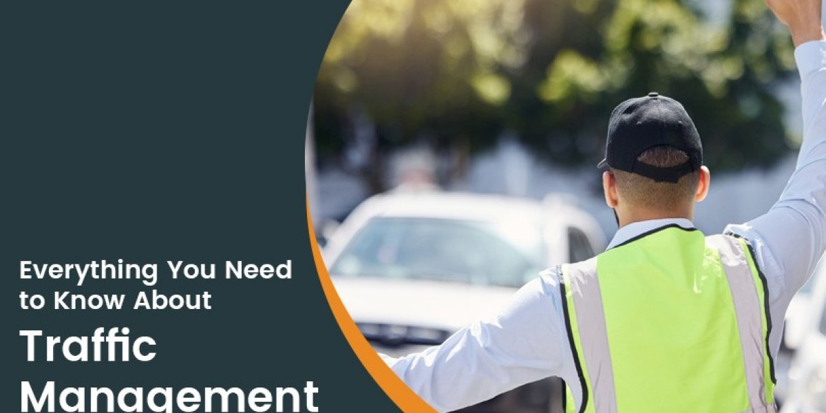 Everything You Need to Know About Traffic Management Software