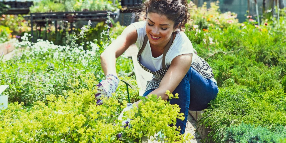 Choosing the Right Plants: A Guide to Gardens Nursery Selection