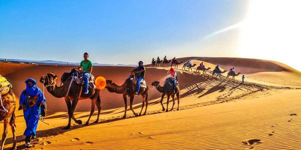 Explore the Wonders of Morocco: A 10-Day Tour from Casablanca