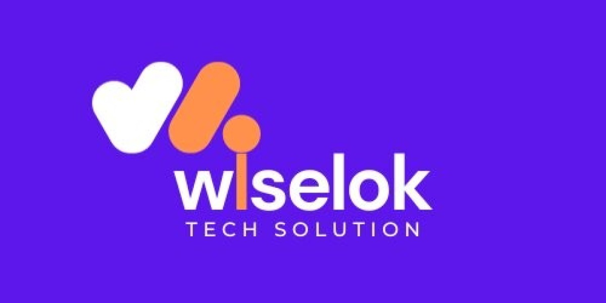 Best Website Development Company in Jaipur - Wiselok Tech Solution